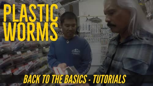 Fishing & Rigging Plastic Worms for Beginners - Back to the Roots