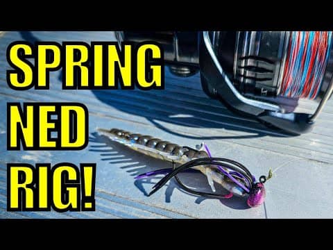 Bass STILL Love This Lure (Spring Bank Fishing)