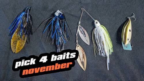 Pick 4 | Baits For November