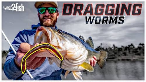 Drag Worms for More Winter and Early Spring Bass
