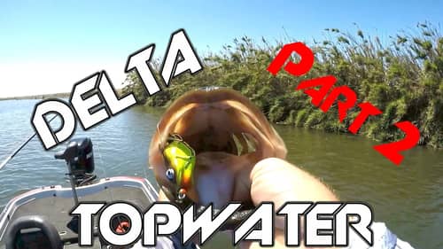 Bass Fishing: A Day On The Delta Part 2