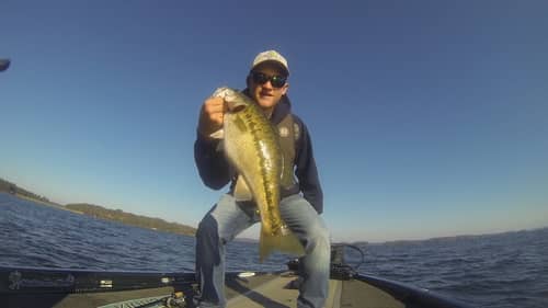 Big Bass Fishing Lake Lanier "Lanier Slam"