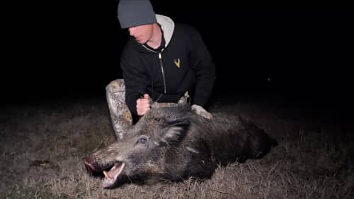 Hunting for Big Texas Hog | Glad I Had My PISTOL!