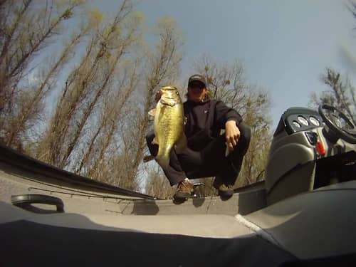 Giant Bass on a Swimbait at Clearlake