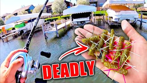 This Bizarre HOMEMADE Bait is THE MOST EFFECTIVE Shallow Water Lure I've EVER used...