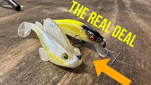 The Lure Companies Who Are Stealing Other Companies Designs…