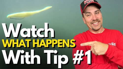 The BEST Texas Rig Tips I Know - Immediate Impact
