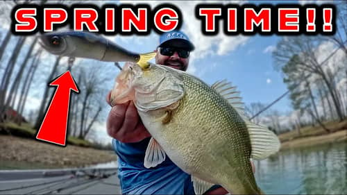 Bass Fishing with Glide Baits - Oliver Ngy