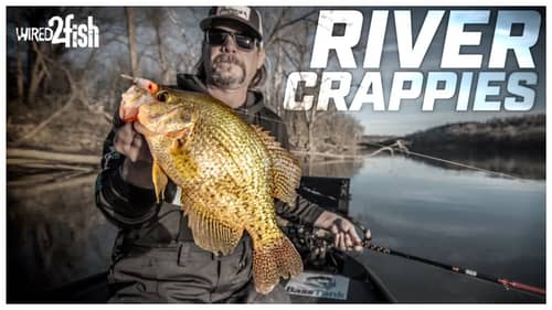 The BEST Winter River Crappie Fishing with Todd Huckabee