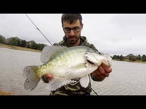 Fishing a FLOODED POND for GIANT CRAPPIE