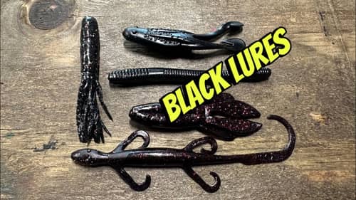 Black Lures Will Outfish ANY Other Color Under THESE Conditions…