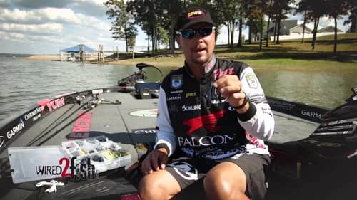 Why Use Contrasting Jig and Trailer Combinations