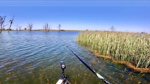 Hot Summer Day of Bass Fishing | This Place Looks Like The CA Delta & Clearlake