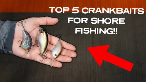 5 Killer Crankbaits For POND Fishing! Full Breakdown On Our Favorite Shore Crankbaits!!