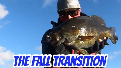 Fall Transition Smallmouth and Musky