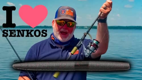 Wacky VS Texas Rig : Senko Bass Fishing Tips