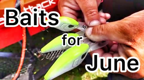 The Lures for June - Bass Fishing