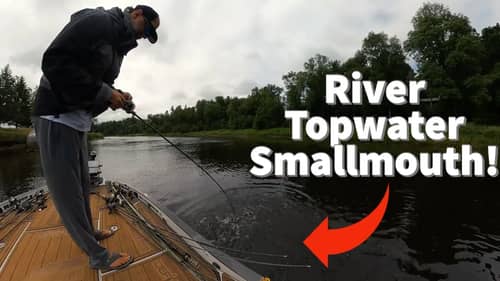 Topwater Spybait? Midwest River Fishing for Smallmouth Bass