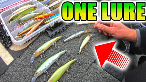 The ONLY Fishing LURE  you Need for Cold Water Fishing (Winter Bass Tips)