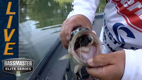 Froggin' on the Tennessee River with John Cox