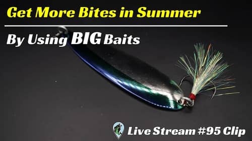 Using Bigger Baits To Catch Big Bass | FTM Livestream #95