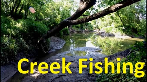 Multispecies Creek Fishing - Largemouth Bass, Striped Bass, Channel Catfish, Freshwater Drum