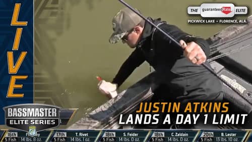 Justin Atkins lands a limit on his home lake (PICKWICK)