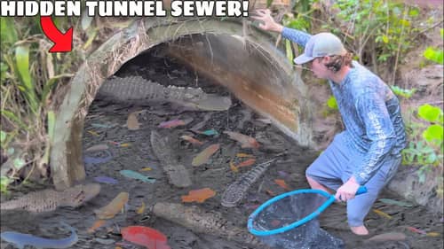 This Hidden Tunnel is FILLED with AQUARIUM FISH!