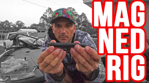 Fishing Technique ~How to Fish a MAG NED RIG for Bass