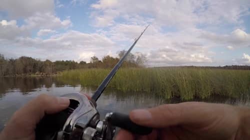 Frog Fishing for Bass in Winter?