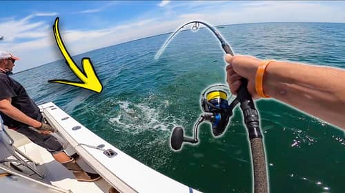 Most INSANE GIANT Topwater Bass Fishing! (Striped Bass on Cape Cod)