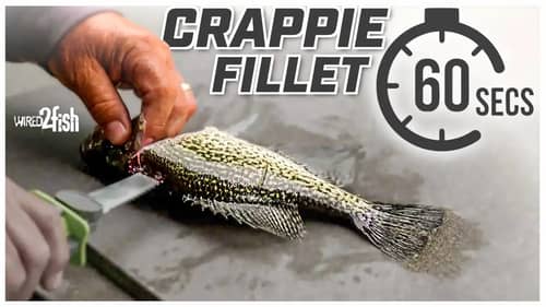 How to Fillet Crappie Quickly with Mr. Crappie