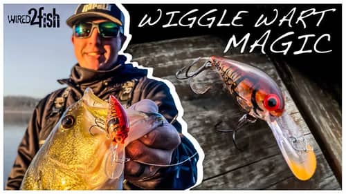 How to Fish Wiggle Warts for Bass