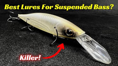 Can You Catch Suspended Bass With These Fishing Lures?