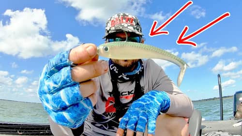 WHY Does this Lure WORK so WELL in SPRING!!! (SWIMBAIT + NED Rig Fishing)