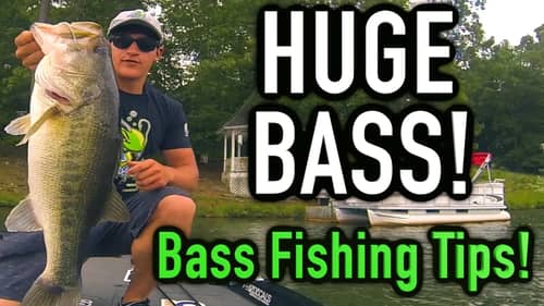 Bass Fishing Tips ~ HUGE Bass, Rod & Reel Combo, and More !