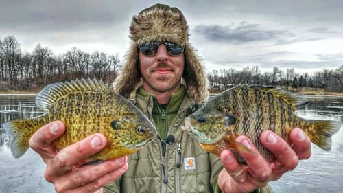 Early Ice Bluegill And Tip Down Bass