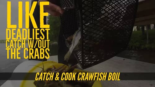 Catch and Cook Crawfish Boil Part 1  The Catch