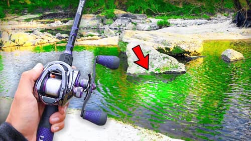 Catching GIANT Bass w/ BIG Jigs in HIDDEN Creeks (Bed Fishing)