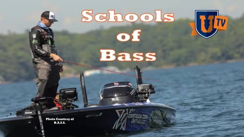 School of Bass with Josh Bertrand