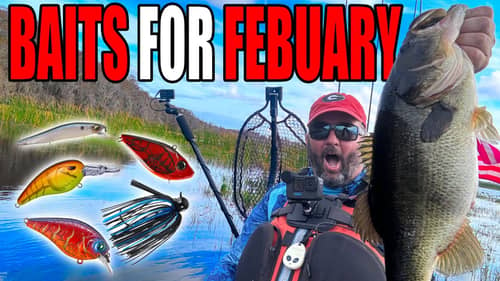 Baits to use in February - Bass Fishing