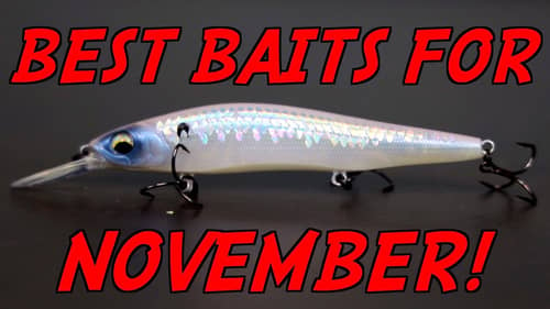 YOU Can't Beat These 3 NOVEMBER Lures!