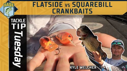 Kyle Welcher's Flatside vs Squarebill winter debate
