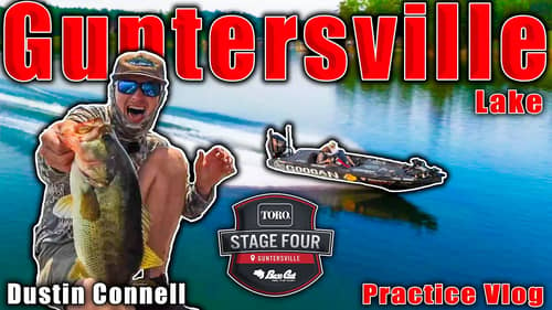 They are EVERYWHERE! - MLF Stage 4 - Lake Guntersville - Practice Vlog
