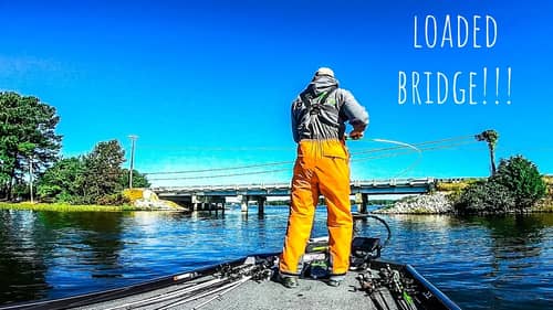 This BRIDGE Was LOADED With AGGRESSIVE Feeding Fish!! || Lake Gaston Fall Bass Fishing