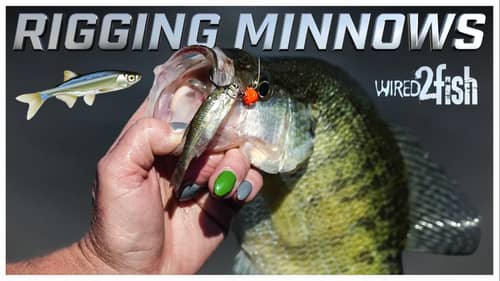 How to Rig Minnows for Crappies with These 3 Techniques!