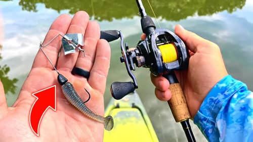 Micro Buzzbait BFS Fishing!