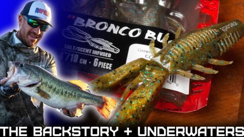 The Bronco Bug  | Crush City + Jacob Wheeler