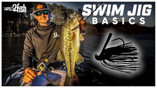 4 Swim Jig Tips to Catch More Bass