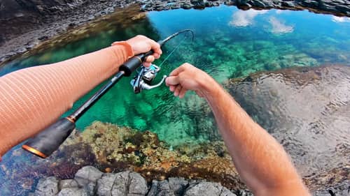 Amazing Fishing in Crystal Clear Rock Pools!